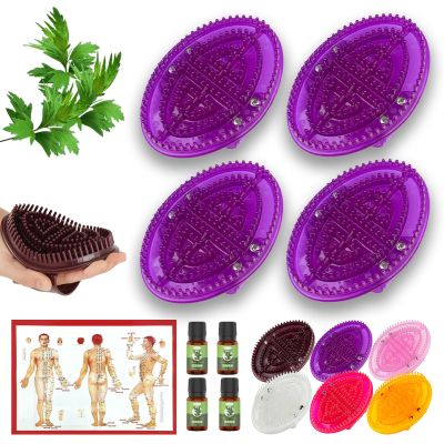 2 Pairs Meridian Brush Massage Body Brush, 2025 New Beauty Salon Professional Custom Meridian Brushs, Full Body Relaxation Comb for Circulation, Portable Handheld Shower Brushs Set (Purple)