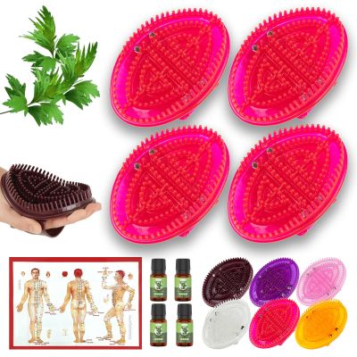 2 Pairs Meridian Brush Massage Body Brush, 2025 New Beauty Salon Professional Custom Meridian Brushs, Full Body Relaxation Comb for Circulation, Portable Handheld Shower Brushs Set (Red)
