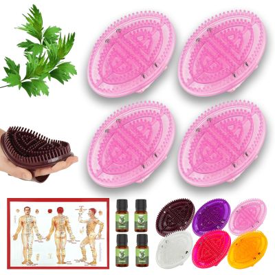 2 Pairs Meridian Brush Massage Body Brush, 2025 New Beauty Salon Professional Custom Meridian Brushs, Full Body Relaxation Comb for Circulation, Portable Handheld Shower Brushs Set (Pink)