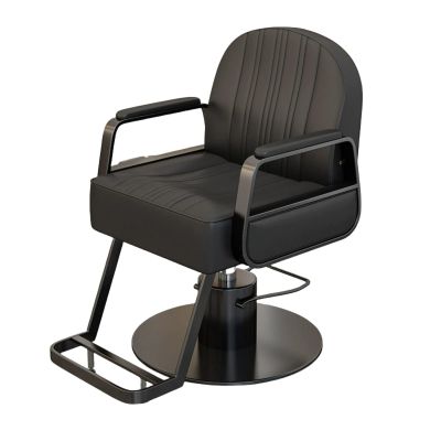 Barber & Salon Chair - Luxury 360 Swivel Hydraulic Styling Chair for Professional Salons & Spas,C