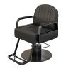 Barber & Salon Chair - Luxury 360 Swivel Hydraulic Styling Chair for Professional Salons & Spas,C view 1