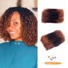 Afro Kinky-Curly Human Hair Bulk for Twist, Dreadlocks Making, Repairing and Extending Locs,100% Afro Kinkys Bulk Human Hair Ombre color, 50g/pack Can be Dyed (#30/1B/#30) (14inch) view 4