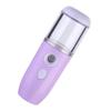 ELAYARD Nano Mist Facial Steamer Portable Hydrating Mister for Beauty Care USB Rechargeable Facial Humidifier Travel-Friendly Water Sprayer Compact Size for Skincare view 1