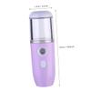 ELAYARD Nano Mist Facial Steamer Portable Hydrating Mister for Beauty Care USB Rechargeable Facial Humidifier Travel-Friendly Water Sprayer Compact Size for Skincare view 3