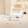 Facial Chair Esthetician Table, Multi-Purpose Tattoo Salon Chair Professional Split Legs Multi-use Massage Table Spa Chairs with Adjustable Buckles & Armrest for Salon Beauty (White+Split Leg) view 2