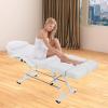 Facial Chair Esthetician Table, Multi-Purpose Tattoo Salon Chair Professional Split Legs Multi-use Massage Table Spa Chairs with Adjustable Buckles & Armrest for Salon Beauty (White+Split Leg) view 3