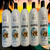 (5 PACK) Pro Silk Moisturizing Shampoo with Moroccan Argan Oil, Coconut Oil, Essential Oils, 32 Oz (Free access to Anti-Cancer, Vitamin, Quantum media library) view 1