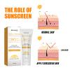 AMALIA Sun Cream, SPF 90 PA+++, UVA/UVB Protection, Sunscreen For Body & Face, Broad Spectrum SPF + Antioxidants, Oil Free, For Sun Sensitive Skin (3) view 3