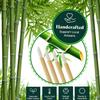 100Pcs Premium Disposable Lip Brushes Lipstick Applicator Wands Bamboo Handle Makeup Tool Kits Soft Hygienic Wands for Professional Personal Use view 2