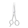 Beaupretty Stainless Steel Beard and Eyebrow Scissors Set 2-Piece Hairdressing Scissors for Men Precision Grooming Tools for Daily Use for Beard Care and Eyebrow Trimming view 1