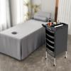 Salon Rolling Trolley with Wheels, Hairdresser Barber Shop Tool Storage Cart w/5 Drawers 2 Hair Dryer Holder for Hair Stylist Hairdresser Beauty Tattoo view 3