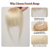 100% Human Hair Bangs Clips in Air Fringe Bangs Hairpiece Hair Extension 4.5inch(Platinum) view 2