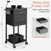 TATARTIST Salon Trolley with 2 Magnetic Bowls Lockable Drawers Rolling Cart for Hair Salon Tattoo Studio Beauty Spa Tools Organizer (Black) view 3