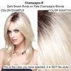 Bundle - 5 items: Reese Large Wig by Noriko, Christy's Wigs Q & A Booklet, 2oz Travel Size Shampoo, Cap & Wide Tooth Comb - Color: Champagne-R view 2