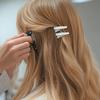 100 Pcs Alligator Hair Clips, Hair Accessories, Small Metal Silver Alligator Clips for Hair, Styling Metal Duck Billed Hair Clips for Women Styling, Arts Crafts Accessories view 2