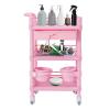 3 Tiers Rolling Salon Storage Trolley Cart, Salon Station Trolley with Drawers & 2 Garbage Baskets, Movable Beauty Organizer Cabinet with Wheels for Barber Hairdressing SPA Tattoo (Pink) view 1