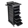 Beauty Rolling Trolley Cart Equipment Mobile Salon Spa Service Cart with 6 Drawers Lockable Hair Storage Cabinet Barber Organizer Station Hairstylist Trolley for Beauty Tattoo Hairdressing view 3