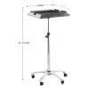 Salon Trolley Hair Dyeing & Perming Tool Rack with Adjustable Height, Rolling Barber Cart Storage Buckets, Extension Tray, for Salons Spas view 2