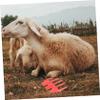 DECOMELODY Professional Sheep Trimmer Guide Attachment for Precision Grooming Detachable Clipper Guide for Goats and Sheep view 4