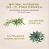 BEYOND Phytoganic Facial Cleansing Foam (6.8fl oz) & Phytoganic Makeup Cleansing Oil (6.8fl oz) - Vegan Formula Korean Skin Care. view 4