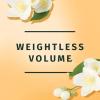 Weightless Volumizing Mousse for Fine Hair  Long-Lasting Lift, Fullness & All-Day Hold with Lightweight Formula, 6.8 fl oz (Pack of 3) view 2