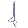 6 Inch Stainless Steel Beard Trimming Scissors, Tension Hairdressing Clippers, accurate for Neat Haircuts, Ergonomic, Ideal for Home Salon or Barber Use (Purple) view 1
