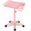 LKT COBTAC Extension Salon Tray Hair Extension Cart Tray Pink Multi-Function Extensions Rolling Tray with Blow Dryer Holder and Storage Platform view 1