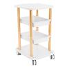 4-Tier Salon Rolling Cart, 4 Large Capacity Facial Tray, Rolling Beauty Trolley for Storing Equipment and Tools, Movable Storage Trolley for Beauty Salon, Spa, Office, footprint:19*15 in (white,Gold) view 1