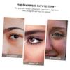Beaupretty Eyebrow Grooming Kit 4-Piece Stainless Steel Eyebrow Scissors Tweezers Trimmer and Brush Set for Precision Shaping for Beauty Enthusiasts and Personal Use view 3