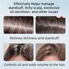 10.55 Fl.Oz Anti-Dandruff Hair Care Shampoo, Oil Control Refreshing for Men & Women, Natural Hair Shampoo (1pc-10.55 fl.oz) view 2