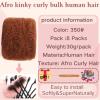 Afro Kinkys Bulk Human Hair for Dreadlock Extensions,Repair Locs, Twists and Braids, 8 Packs 240 Gram100% Human Hair Afro Kinky Bulk Can be Dyed and Bleached (Ginger, 8inch) view 2