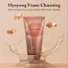 DANAHAN Hyoyong Korean Traditional Herbal Fermented Foam Cleanser - Gentle Daily Face Wash with Botanical Extracts, Lecithin - Moisturizing & Soothing, 6.76 oz. view 2