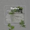 Blooming Yomogi Bath Essence: Milky Bath Oil with Yomogi Leaf, Camellia & Rice Bran - Natural Aromatherapy Soak - 100ml - Forest Bathing Scent - Vegan, Cruelty-Free, Made in Japan view 2