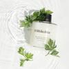 Blooming Yomogi Bath Essence: Milky Bath Oil with Yomogi Leaf, Camellia & Rice Bran - Natural Aromatherapy Soak - 100ml - Forest Bathing Scent - Vegan, Cruelty-Free, Made in Japan view 4