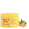 Burt's Bees Christmas Gifts, Boosted Body Whipped Butter With a Ceramide, Niacinamide and Peptide Complex, Quick-Absorbing Body Butter, Tropical Scented, 6.5 oz. Jar view 1