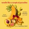 Burt's Bees Christmas Gifts, Boosted Body Whipped Butter With a Ceramide, Niacinamide and Peptide Complex, Quick-Absorbing Body Butter, Tropical Scented, 6.5 oz. Jar view 3