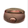 Electric Wax Warmer for Hair Removal, Home Waxing Kit view 1