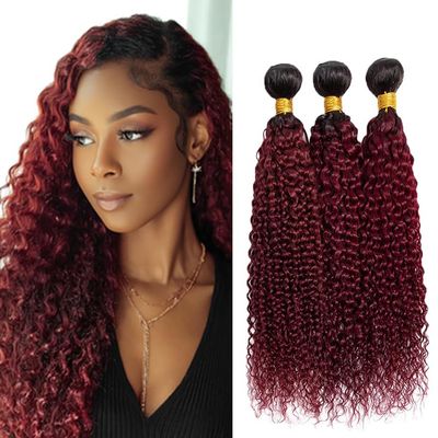 GLSMOSNW Ombre Burgundy Human Hair Bundles 1B/99j Kinky Curly Bundle Double Weft Two Tone Black And Wine Red Bundle Brazilian Remy Hair Extensions Burgundy Ombre Curly Bundles 20 22 24 Inch