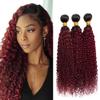 GLSMOSNW Ombre Burgundy Human Hair Bundles 1B/99j Kinky Curly Bundle Double Weft Two Tone Black And Wine Red Bundle Brazilian Remy Hair Extensions Burgundy Ombre Curly Bundles 20 22 24 Inch view 1