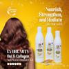 EvoBeauty Your Go-To Oats Nutritional Bundle view 3