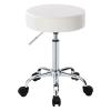 BAOTEDSL Height Adjustable Swivel Rolling Chair Massage Medical Clinic Tattoo Spa Salon Stool with Wheels(White) view 1
