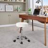 BAOTEDSL Height Adjustable Swivel Rolling Chair Massage Medical Clinic Tattoo Spa Salon Stool with Wheels(White) view 2