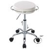 BAOTEDSL Height Adjustable Swivel Rolling Chair Massage Medical Clinic Tattoo Spa Salon Stool with Wheels(White) view 4