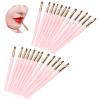 24PCS Portable Lip Brushes, Lightweight Makeup Tool with Ergonomic Handle, Soft for Delicate Lipstick Application, to Carry for On Go Beauty Lovers view 2