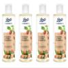 Boots Ingredients Argan and Jojoba Shampoo 10.14 Fl Oz. (Pack of 4) view 1