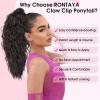 RONTAYA Ponytail Extension, Ginger Orange Claw Clip Ponytail Extensions for Women, Multi Layered Fluffy Thick Wavy Jaw Clip in Fake Pony Tails Fake Hair Soft Synthetic Hairpiece view 4