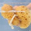Exfoliatings Bath Sponge Deeps Cleansing Body Loofah Sponge Soft Bathing Pouf Foam Lufa Body Scrubber for Home Travel view 3