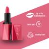 Lip To Lip Matte Full Coverage Long Lasting Lipstick | Smooth Application |Transferproof & Smudge Proof | Highly Pigemented Lipstick for Women (Chestnut Rose) view 4