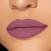 2in1 Non-Transfer | Smooth Texture | Hydrating | Long Lasting | Water-Proof | Full-Coverage Mad Duo Liquid Lipstick & Lipstick (Castro1, 4ml,3g) view 3