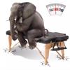 Portable Foldable Massage Table - Professional Leather Tattoo Bed with Adjustable Backrest & Height, Includes Headrest, Armrest, and Backpack - Ideal for Estheticians (Black) view 4